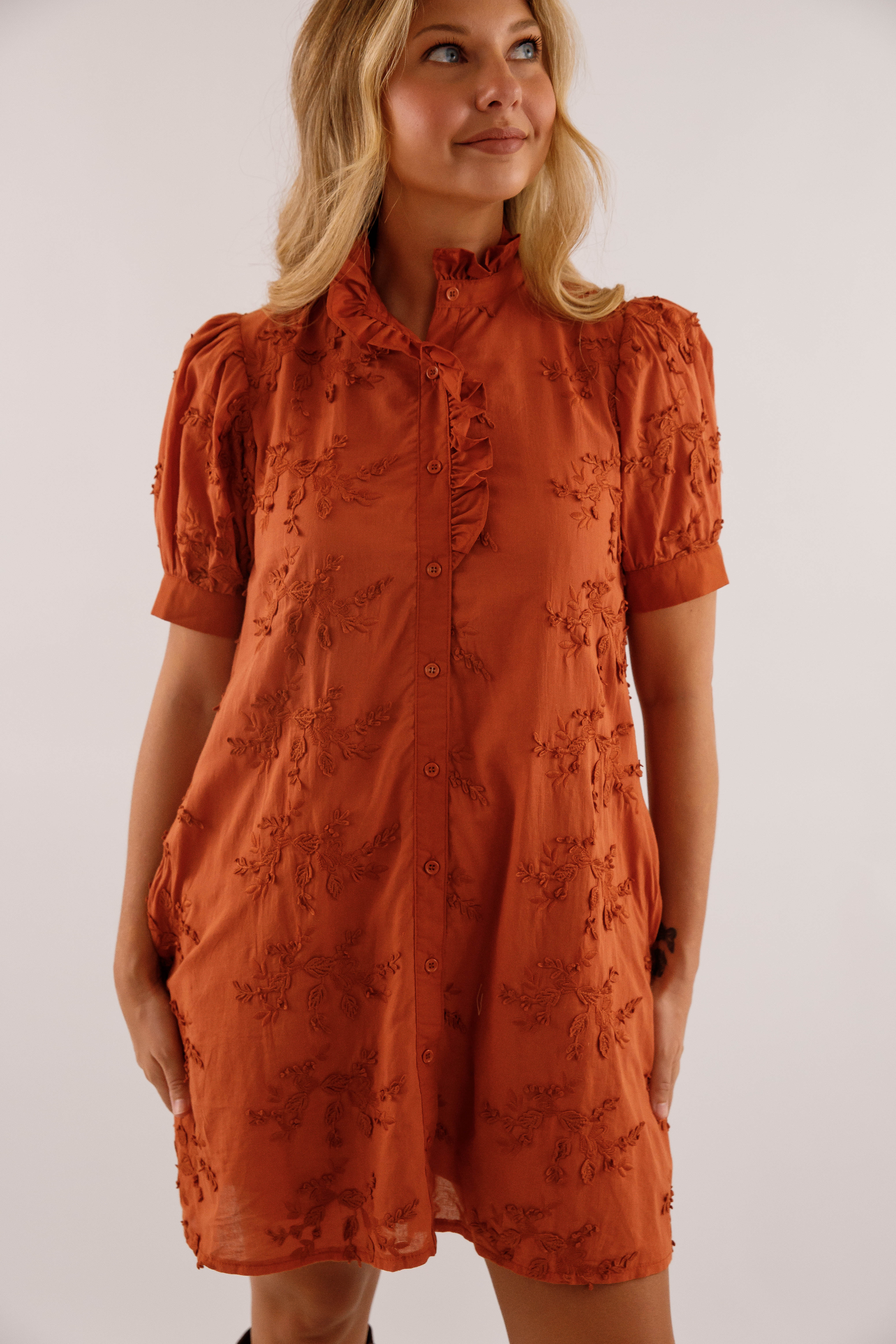 A Nice Introduction Dress-Rust