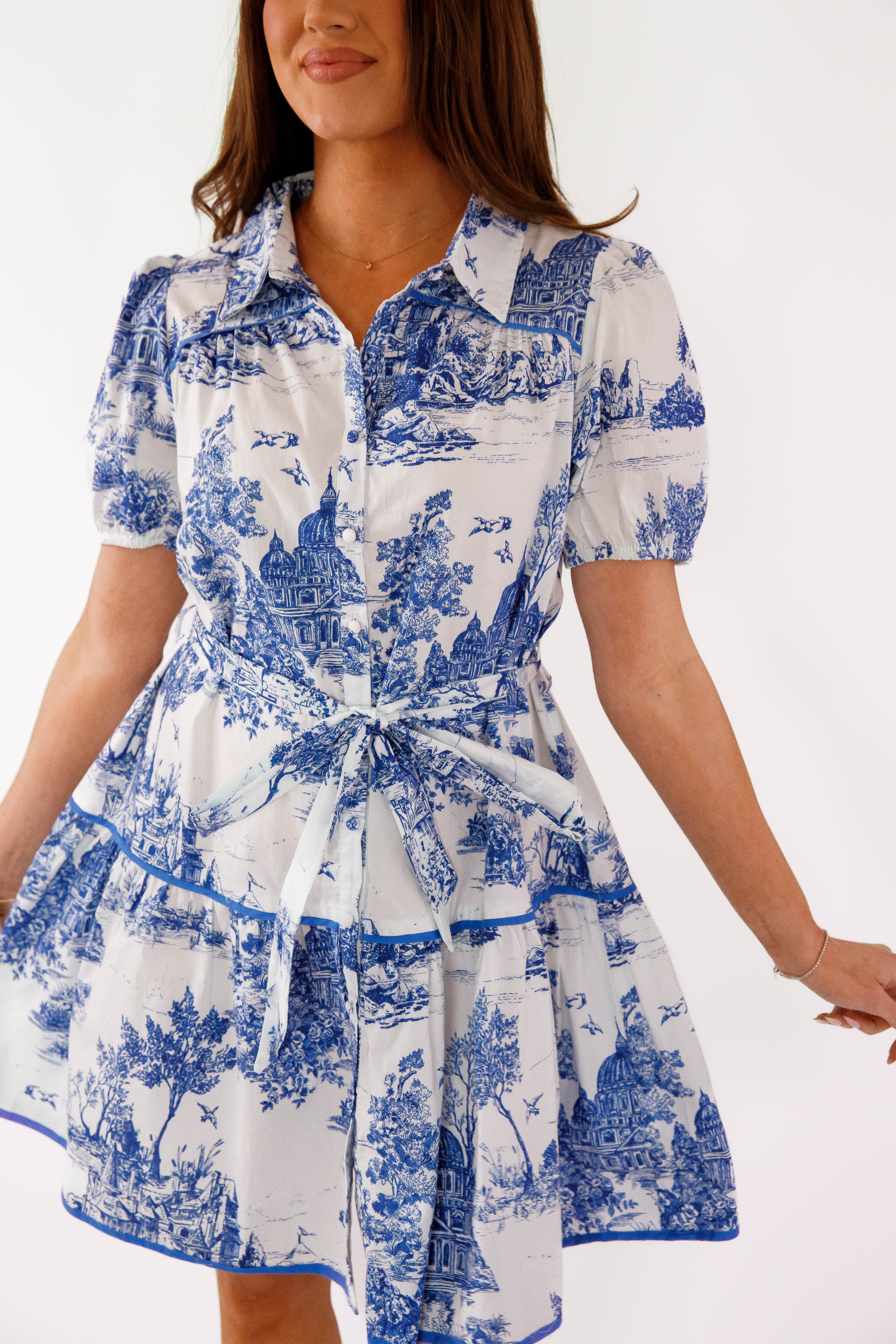 Set The Scene Mini Dress