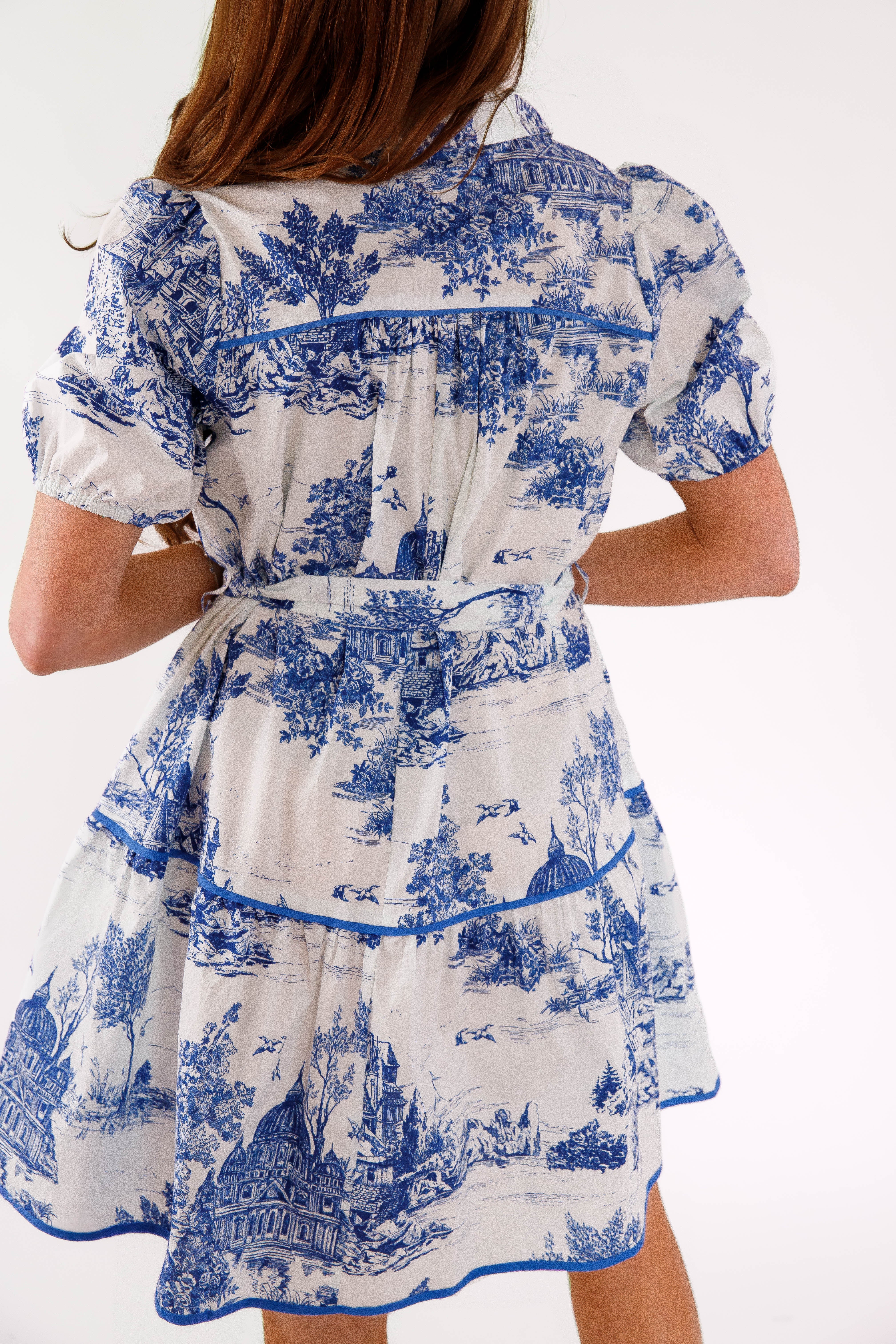 Set The Scene Mini Dress