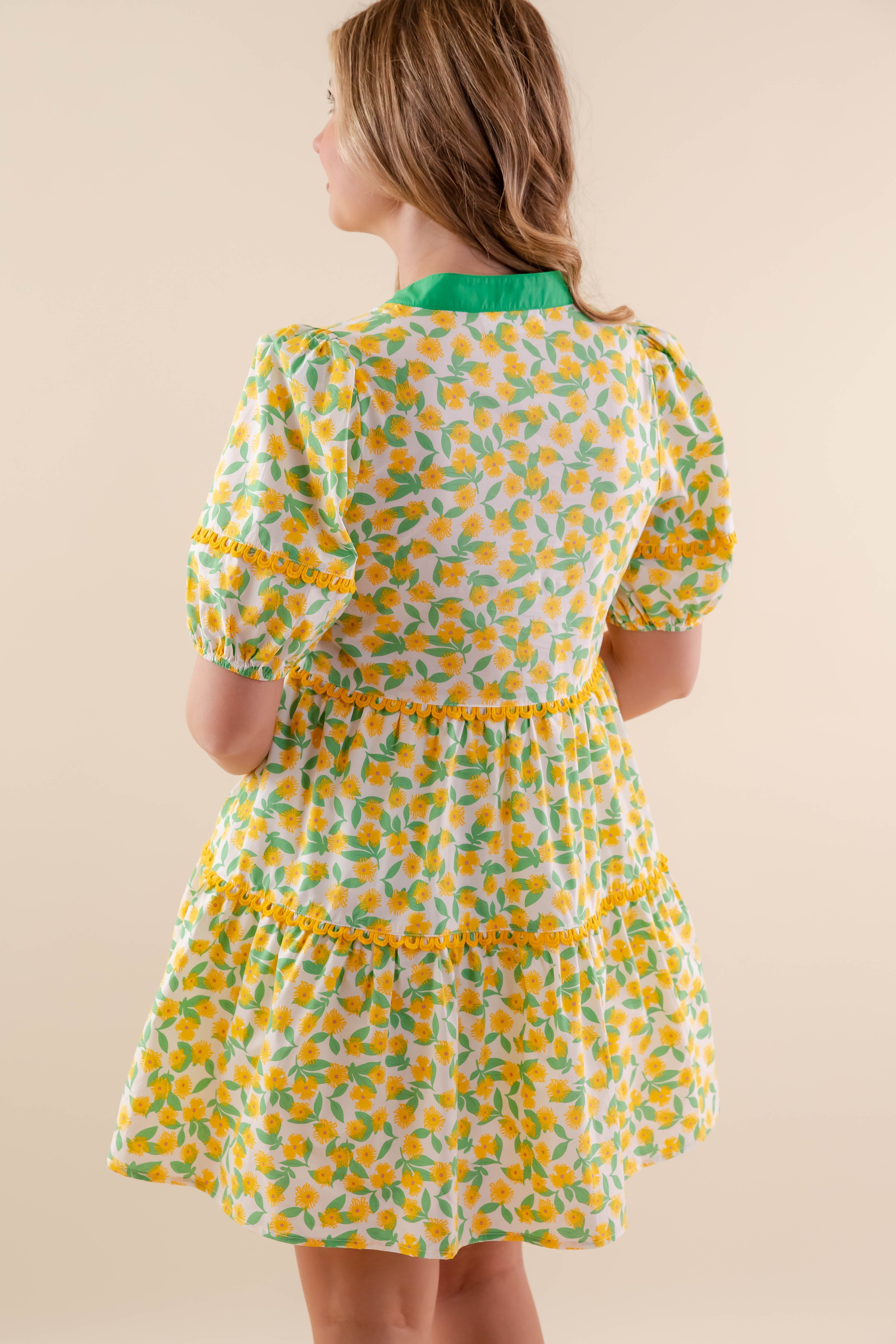 Fresh New Ideas Dress